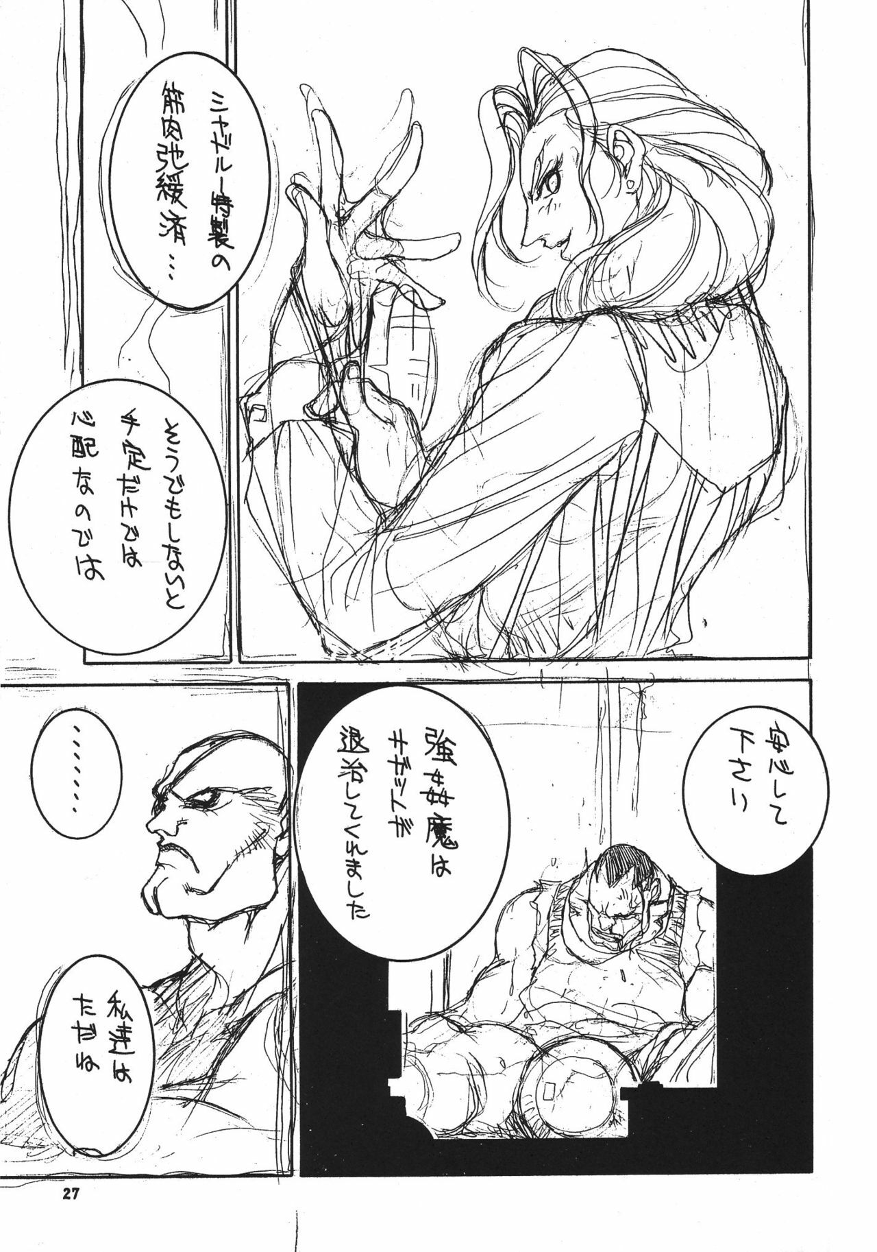 (C71) [P-collection (nori-haru)] Kakutou Complete Gekan (Street Fighter, Dead or Alive) page 28 full