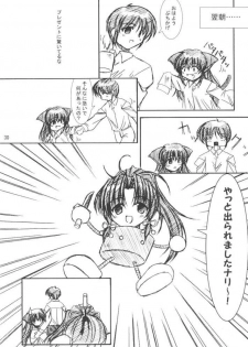 (C61) [Takane no Hanazono (Takane Nohana)] CURIOSITY (Sister Princess) - page 28
