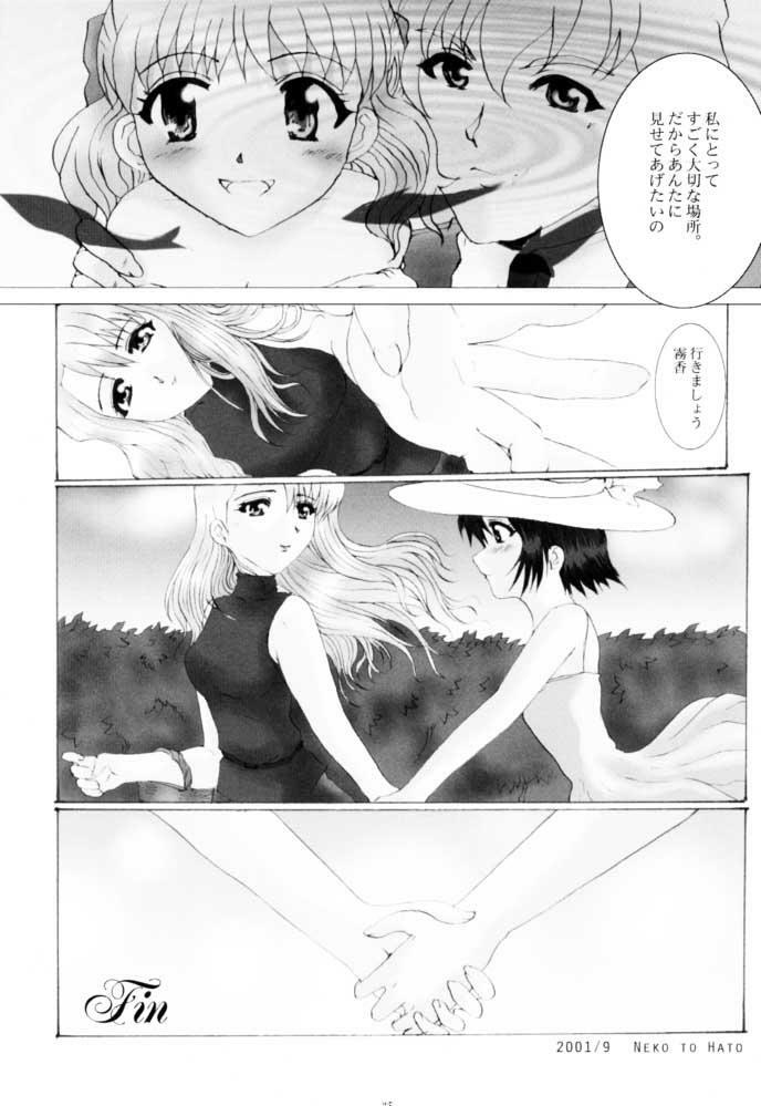 (SC13) [Neko to Hato (Hatoya)] Amour version NOIR (Noir) page 24 full