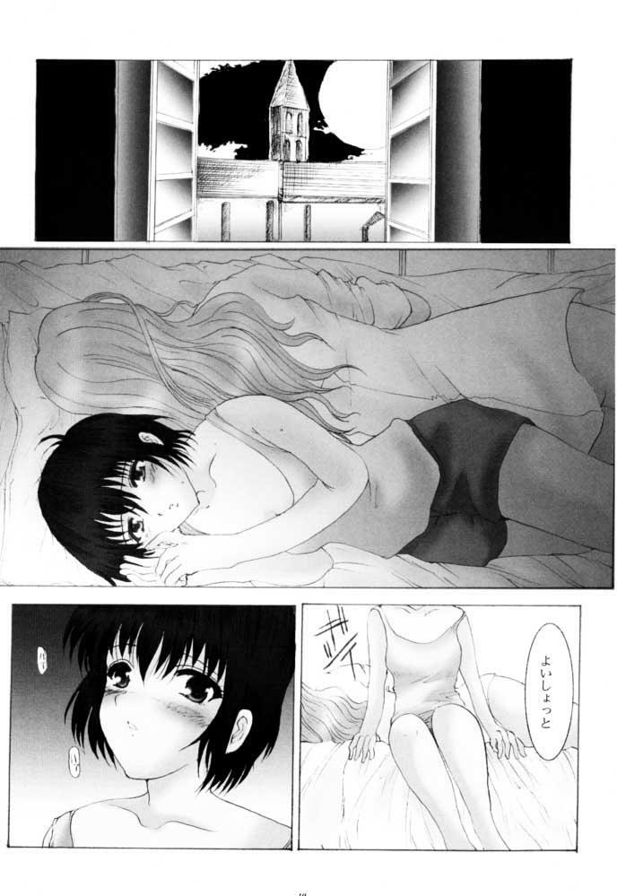 (SC13) [Neko to Hato (Hatoya)] Amour version NOIR (Noir) page 9 full