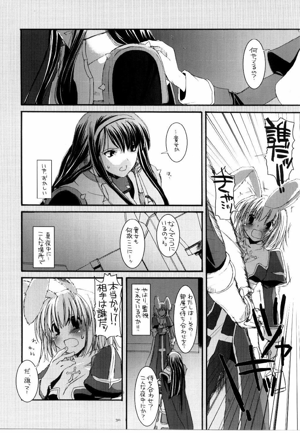 (C68) [Digital Lover (Nakajima Yuka)] D.L. action 30 (Ragnarok Online) page 29 full