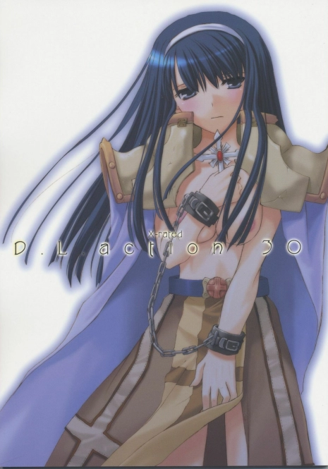 (C68) [Digital Lover (Nakajima Yuka)] D.L. action 30 (Ragnarok Online)