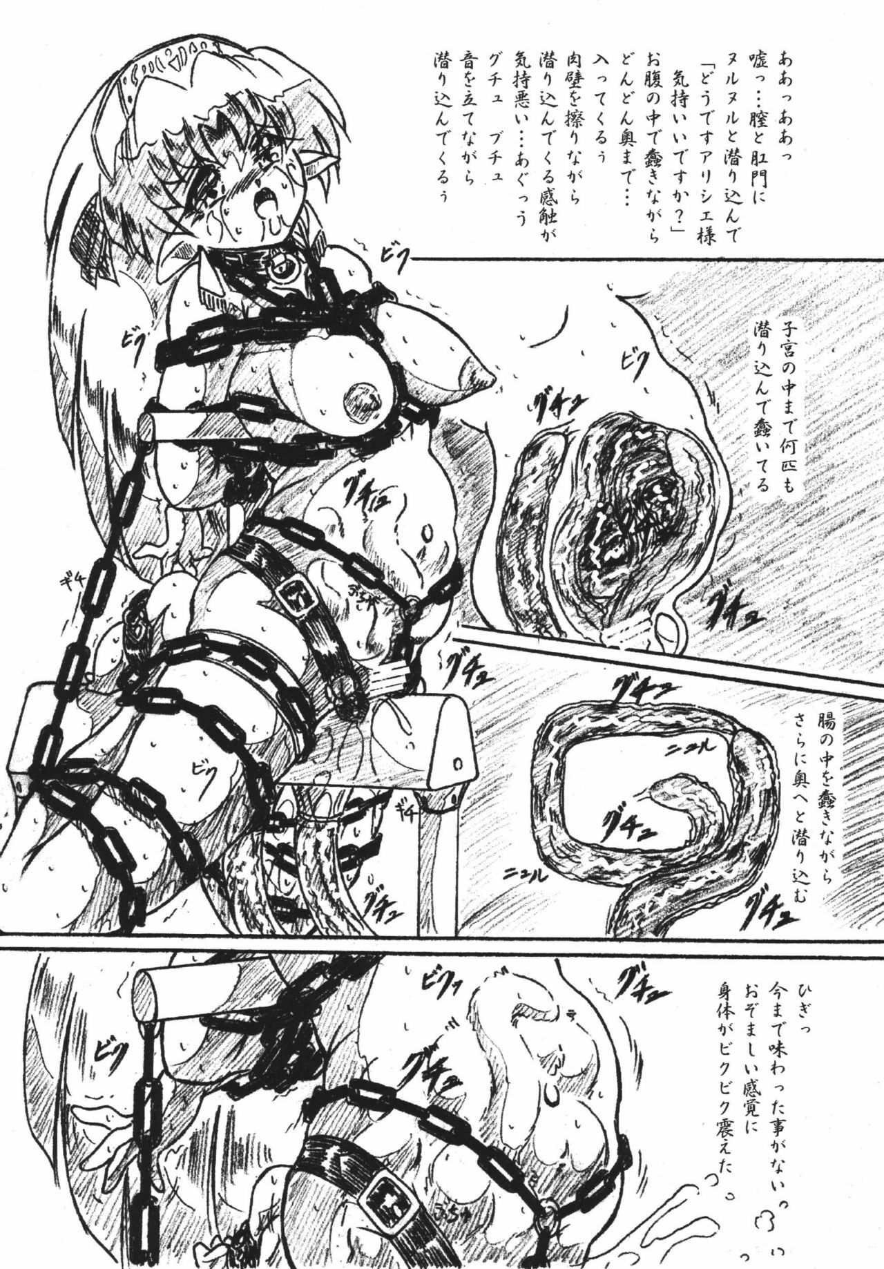 (C68) [Sumomo Dou (Sumomo EX)] Vivian Bessatsu 28 - Hime-sama to Goumonheya page 10 full