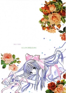 (C60) [LIFE LIKE rie] Classical (Kanon) - page 23