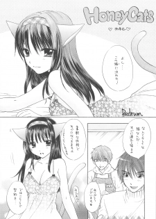 (C75) [BEAT-POP (Ozaki Miray)] HONEY CATS - page 4