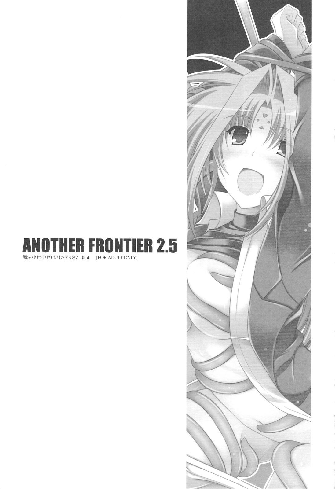 (C75) [ELHEART'S (Ibuki Pon)] ANOTHER FRONTIER 2.5 Mahou Shoujo Lyrical Lindy san #04 (Mahou Shoujo Lyrical Nanoha) page 2 full