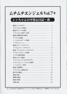 (Puniket 17) [Muchi Muchi 7 (Hikami Dan, Terada Zukeo)] Muchi Muchi Angel Vol. 7+ (Neon Genesis Evangelion) [English] [Kusanyagi] - page 2