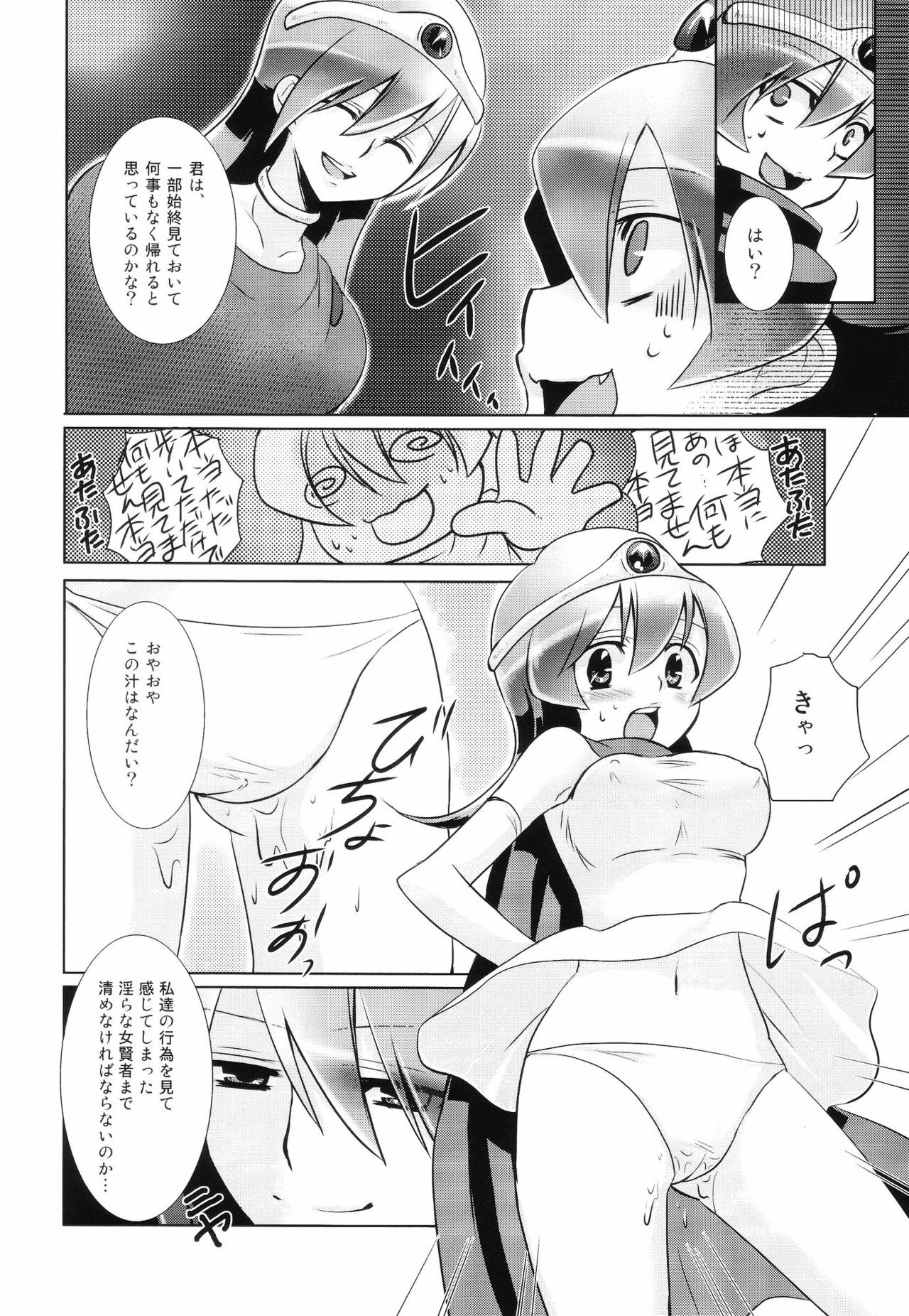 (C75) [[EOF], Nameko-Ike (Celi)] Riso to Genjitsu (Dragon Quest III) page 13 full