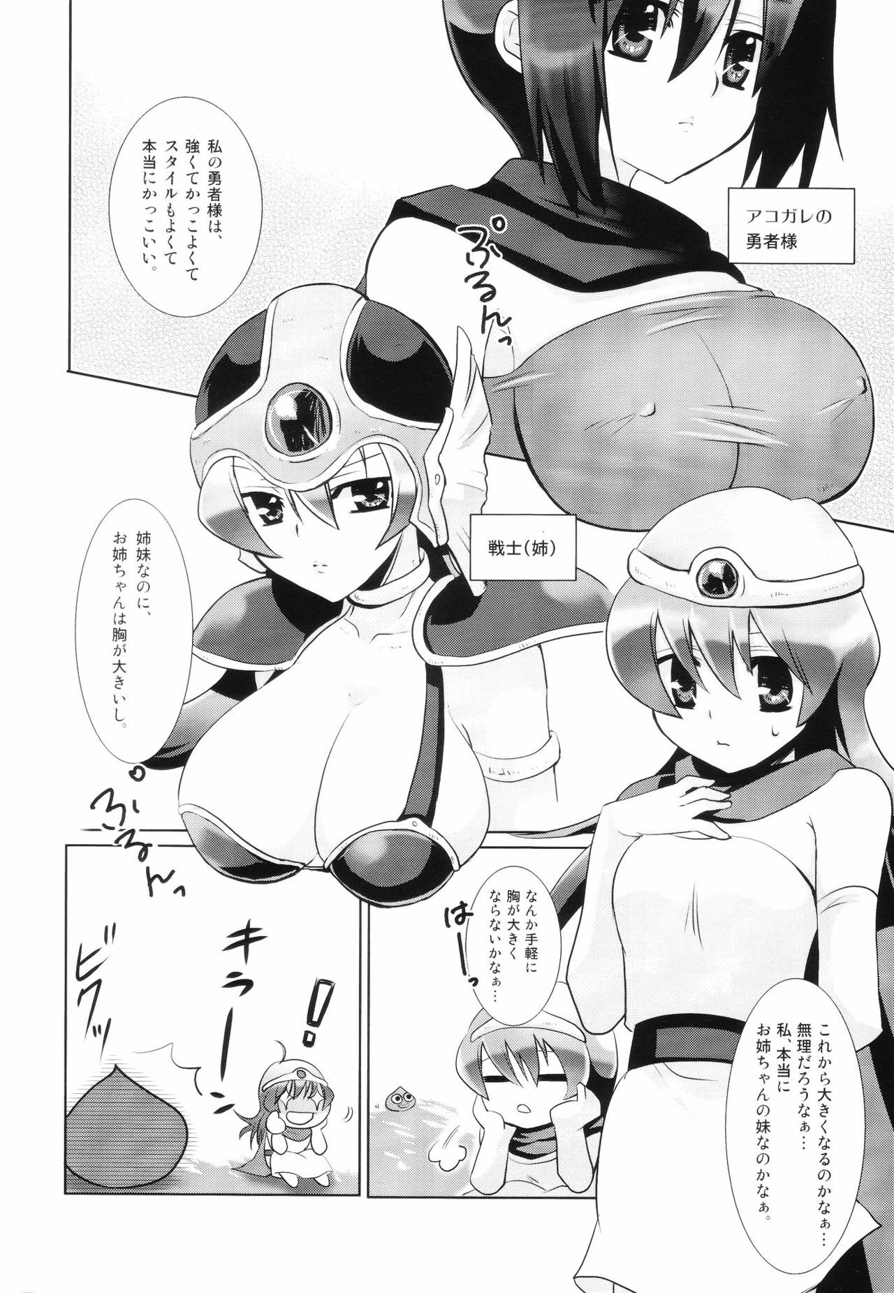 (C75) [[EOF], Nameko-Ike (Celi)] Riso to Genjitsu (Dragon Quest III) page 3 full