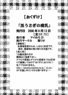 (C70) [St. Rio (Kitty)] Kurousagi no Manyu (Final Fantasy XII) - page 24