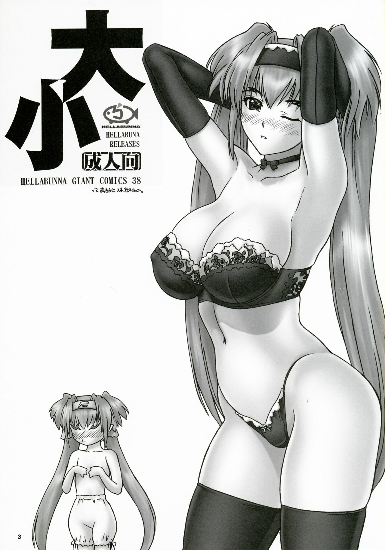(C74) [Hellabunna (Iruma Kamiri)] Daishou | Large and Small (Macross Frontier) page 2 full