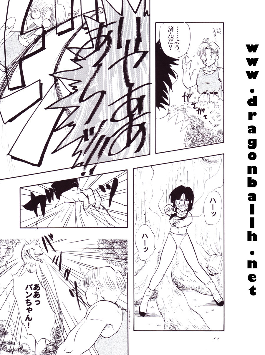 (C54) [Chirigami Goya, Fusuma Goten (Shouji Hariko)] Tirinuruwo (Dragon Ball GT) page 11 full