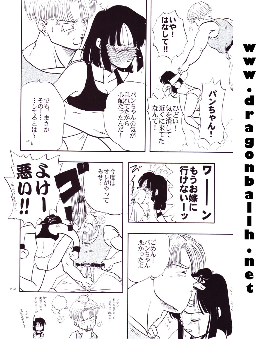 (C54) [Chirigami Goya, Fusuma Goten (Shouji Hariko)] Tirinuruwo (Dragon Ball GT) page 12 full
