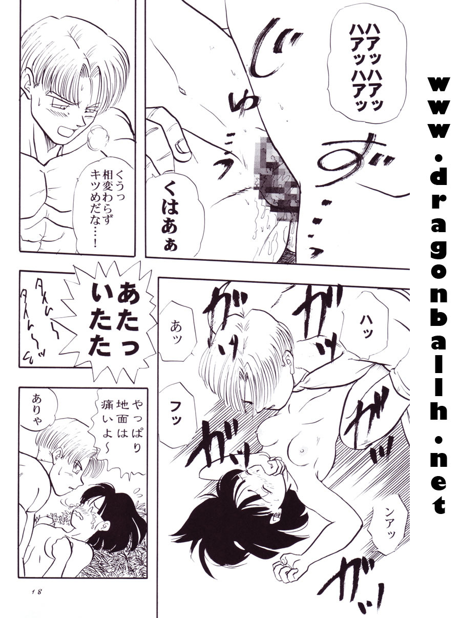 (C54) [Chirigami Goya, Fusuma Goten (Shouji Hariko)] Tirinuruwo (Dragon Ball GT) page 18 full