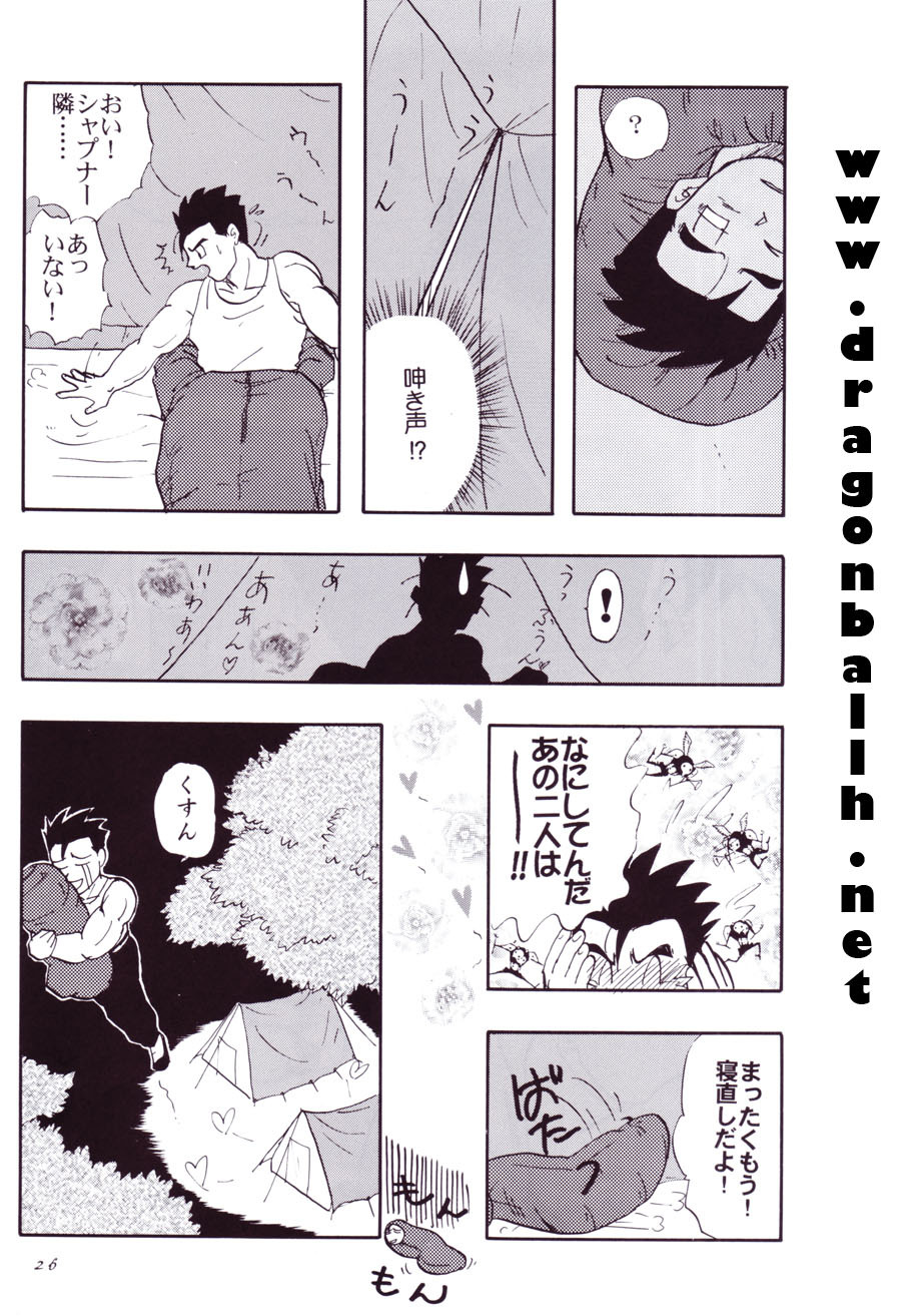 (C54) [Chirigami Goya, Fusuma Goten (Shouji Hariko)] Tirinuruwo (Dragon Ball GT) page 26 full