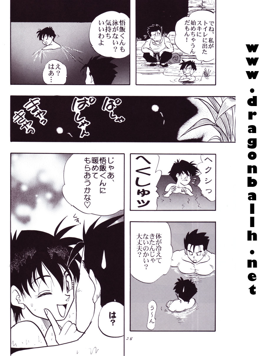(C54) [Chirigami Goya, Fusuma Goten (Shouji Hariko)] Tirinuruwo (Dragon Ball GT) page 28 full