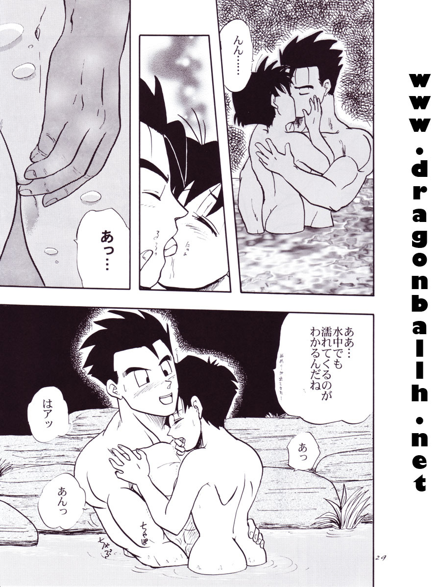 (C54) [Chirigami Goya, Fusuma Goten (Shouji Hariko)] Tirinuruwo (Dragon Ball GT) page 29 full