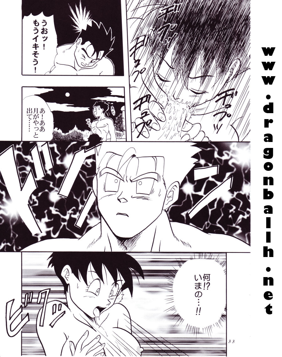 (C54) [Chirigami Goya, Fusuma Goten (Shouji Hariko)] Tirinuruwo (Dragon Ball GT) page 33 full