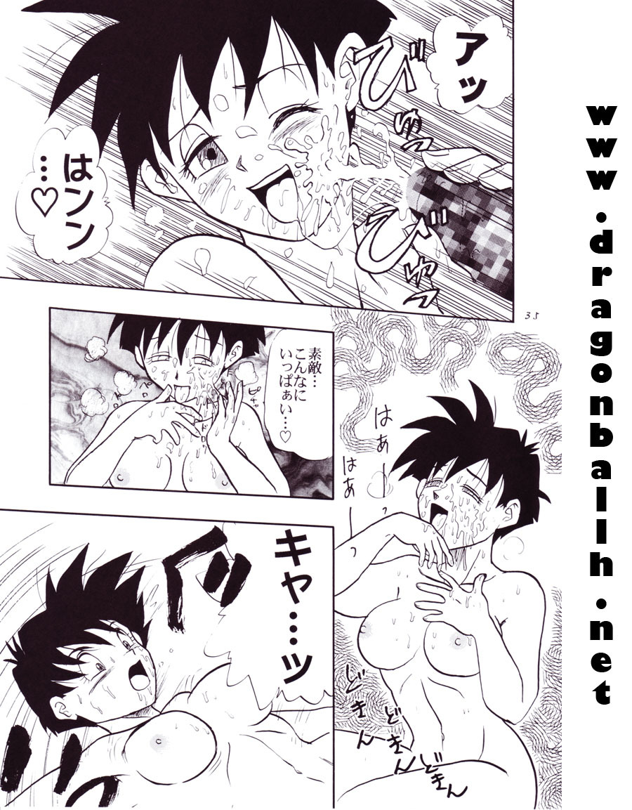(C54) [Chirigami Goya, Fusuma Goten (Shouji Hariko)] Tirinuruwo (Dragon Ball GT) page 35 full