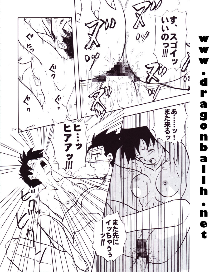 (C54) [Chirigami Goya, Fusuma Goten (Shouji Hariko)] Tirinuruwo (Dragon Ball GT) page 38 full