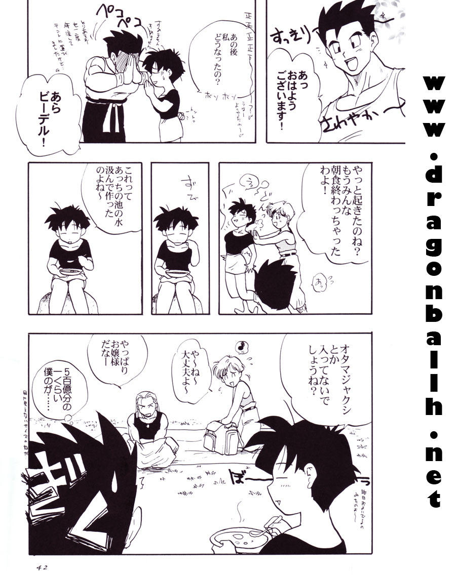 (C54) [Chirigami Goya, Fusuma Goten (Shouji Hariko)] Tirinuruwo (Dragon Ball GT) page 41 full