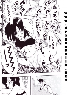 (C54) [Chirigami Goya, Fusuma Goten (Shouji Hariko)] Tirinuruwo (Dragon Ball GT) - page 10