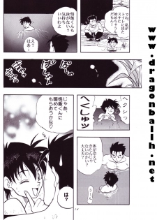 (C54) [Chirigami Goya, Fusuma Goten (Shouji Hariko)] Tirinuruwo (Dragon Ball GT) - page 28