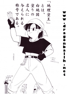 (C54) [Chirigami Goya, Fusuma Goten (Shouji Hariko)] Tirinuruwo (Dragon Ball GT) - page 3