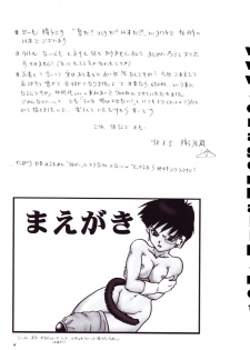 (C54) [Chirigami Goya, Fusuma Goten (Shouji Hariko)] Tirinuruwo (Dragon Ball GT) - page 4