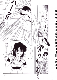 (C54) [Chirigami Goya, Fusuma Goten (Shouji Hariko)] Tirinuruwo (Dragon Ball GT) - page 6