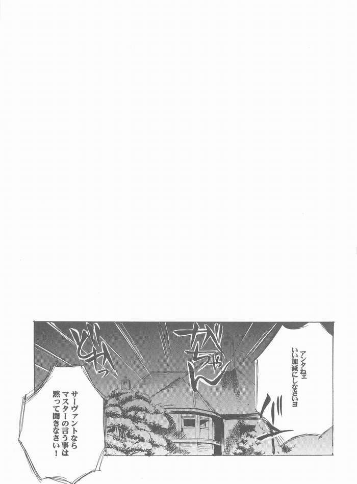 (Mimiket 10) [RED DATA BOOK (Amano Ryuki)] Albireo (Fate/stay night) page 2 full