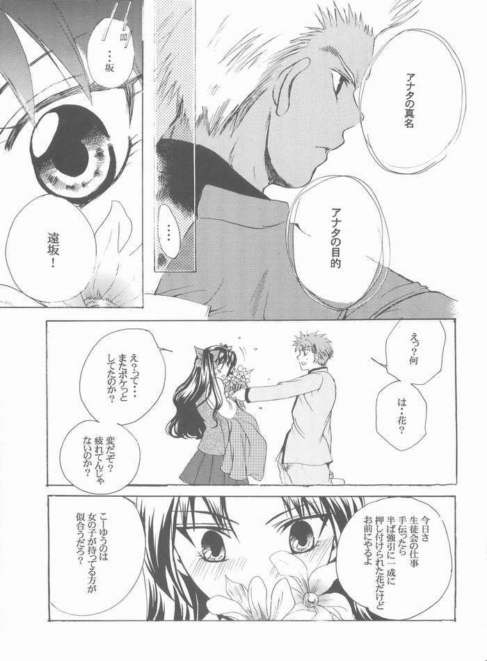 (Mimiket 10) [RED DATA BOOK (Amano Ryuki)] Albireo (Fate/stay night) page 24 full