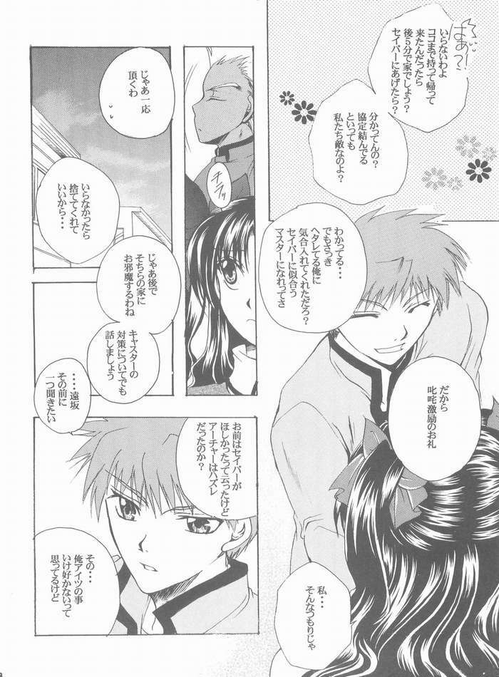 (Mimiket 10) [RED DATA BOOK (Amano Ryuki)] Albireo (Fate/stay night) page 25 full