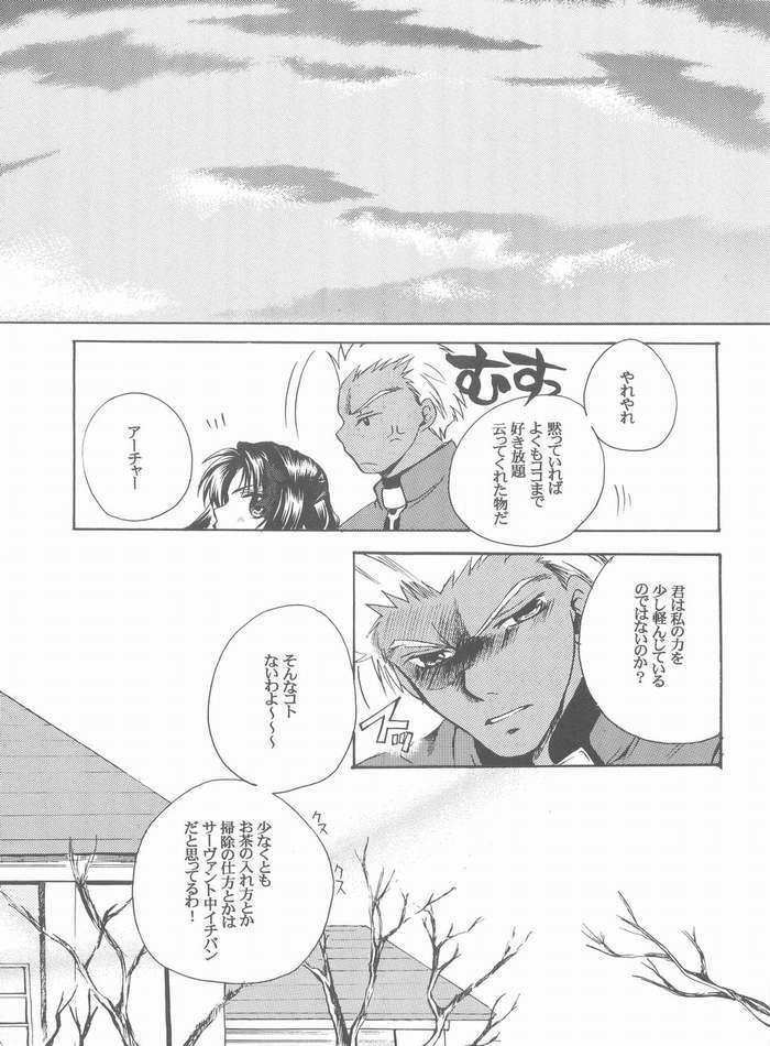 (Mimiket 10) [RED DATA BOOK (Amano Ryuki)] Albireo (Fate/stay night) page 32 full