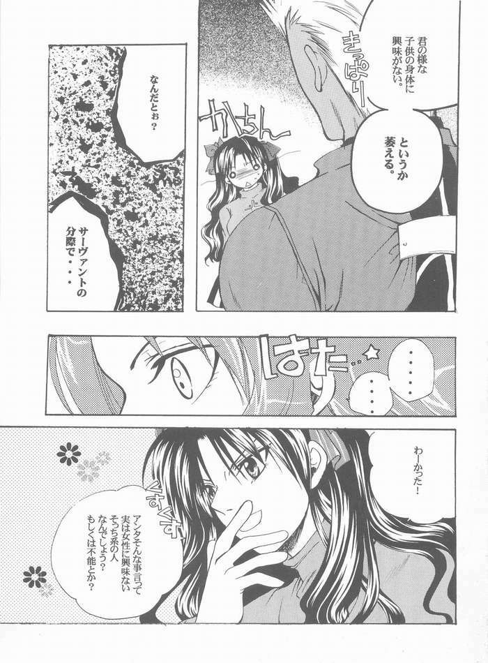 (Mimiket 10) [RED DATA BOOK (Amano Ryuki)] Albireo (Fate/stay night) page 4 full