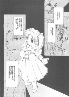 (Mimiket 10) [RED DATA BOOK (Amano Ryuki)] Albireo (Fate/stay night) - page 15