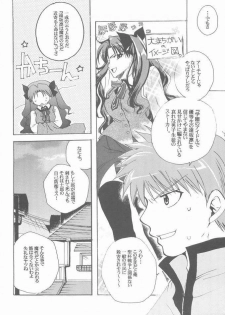 (Mimiket 10) [RED DATA BOOK (Amano Ryuki)] Albireo (Fate/stay night) - page 19