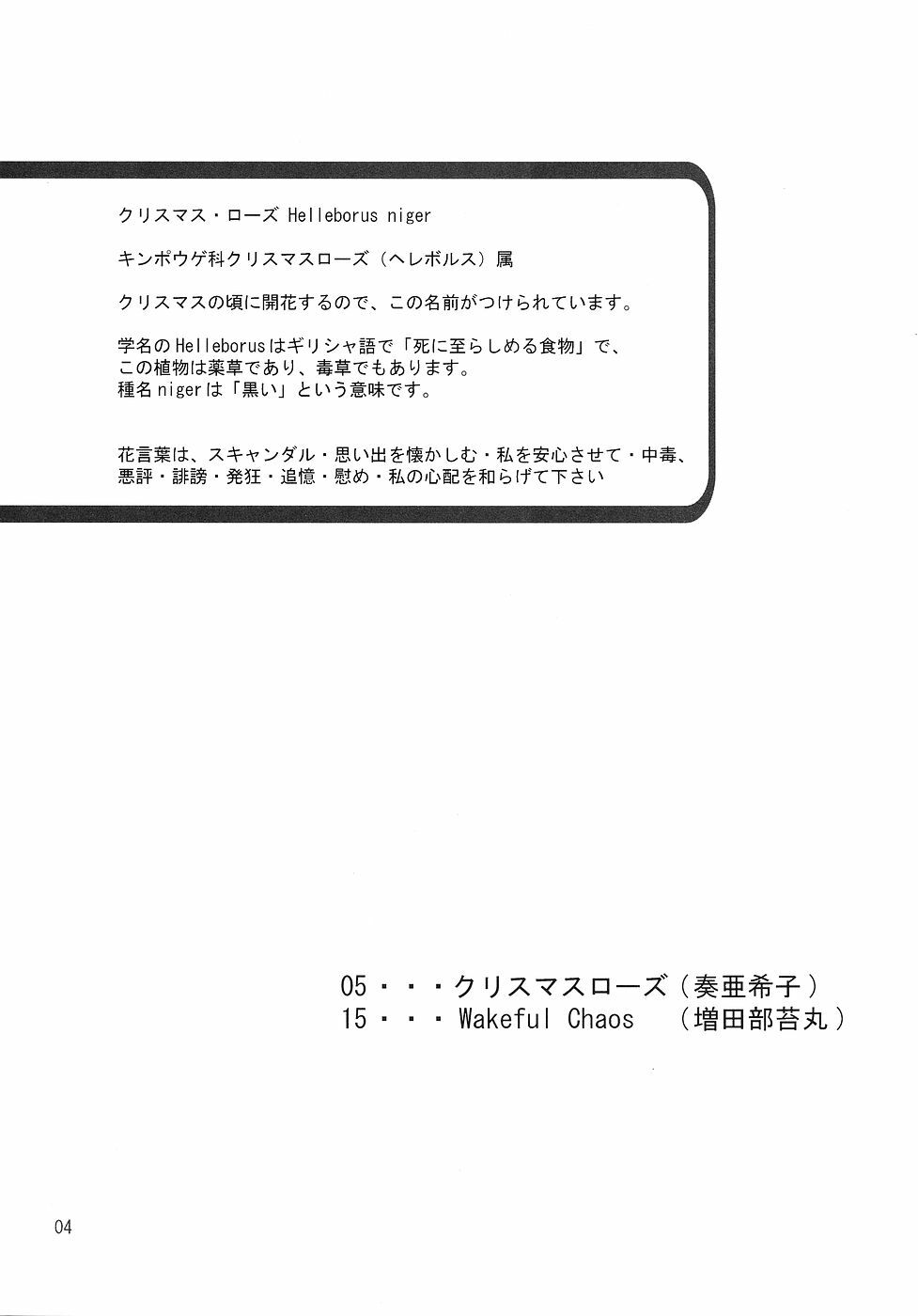 (C67) [Nagasaki-inter (Masutabe Kokemaru, Sou Akiko)] Christmas Rose (Fate/stay night) page 3 full