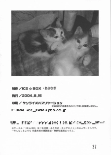 [AMO+, ICE BOX (Asanagi)] Evening Star (Fate/stay night) - page 21