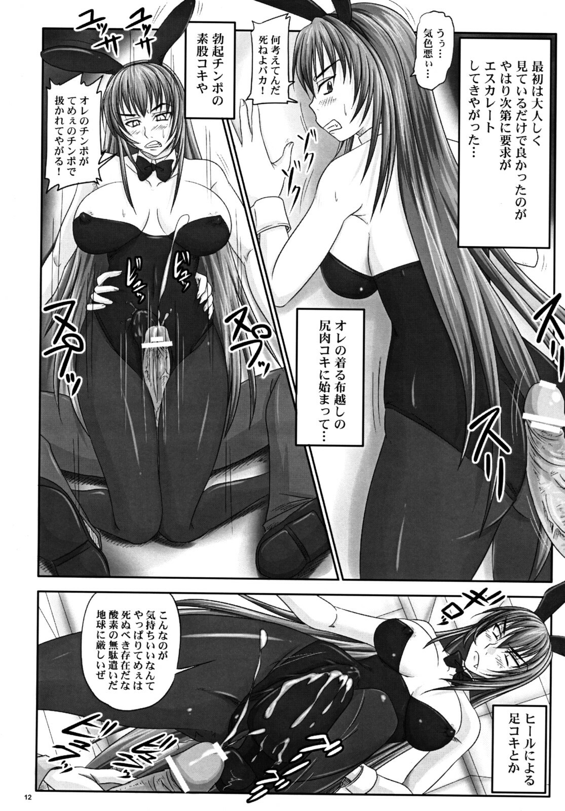 (A3) [Nozarashi (Nozarashi Satoru)] Misshitsu de Kyoubou Bunny Hime to Futarikiri. page 11 full