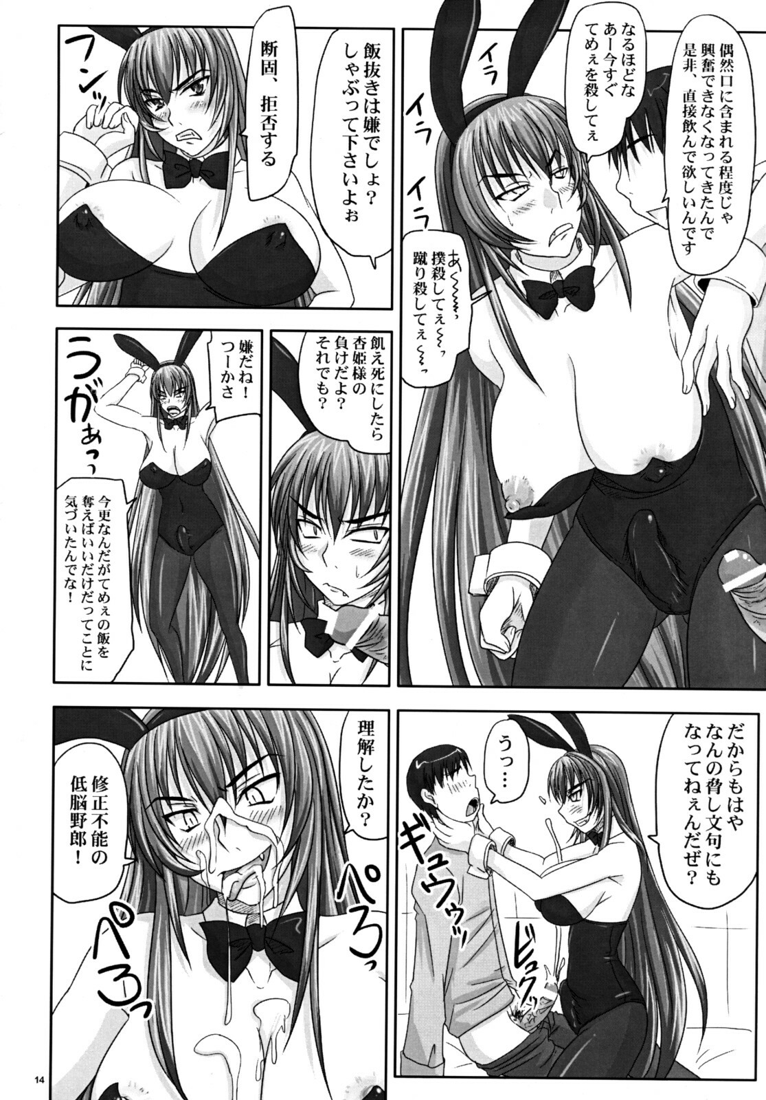 (A3) [Nozarashi (Nozarashi Satoru)] Misshitsu de Kyoubou Bunny Hime to Futarikiri. page 13 full