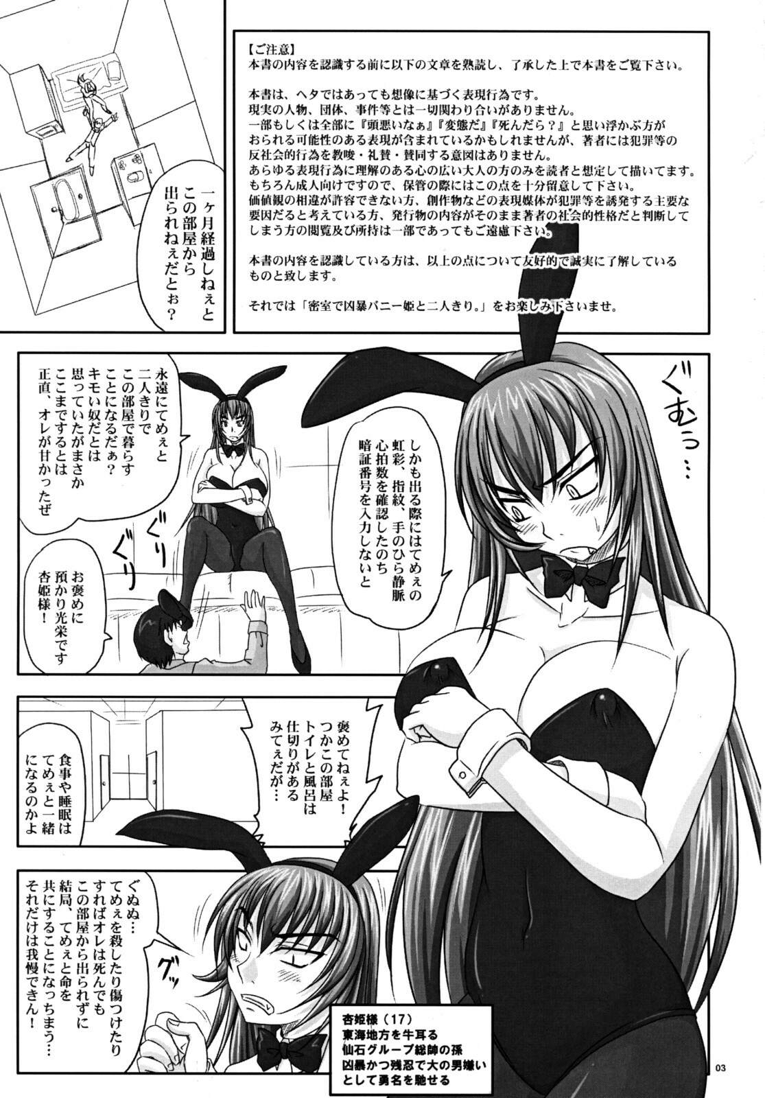 (A3) [Nozarashi (Nozarashi Satoru)] Misshitsu de Kyoubou Bunny Hime to Futarikiri. page 2 full