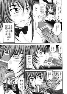 (A3) [Nozarashi (Nozarashi Satoru)] Misshitsu de Kyoubou Bunny Hime to Futarikiri. - page 18