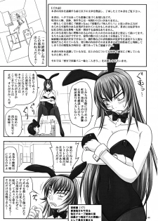 (A3) [Nozarashi (Nozarashi Satoru)] Misshitsu de Kyoubou Bunny Hime to Futarikiri. - page 2