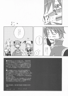 (C67) [Matsurika (Tachibana Sakuyoru, Hota.)] Otona no Jikan (Ragnarok Online) - page 23