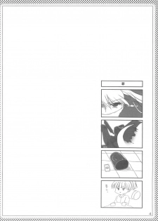 (C67) [Promised land, Hakkaisan (Tachibana Akari, Murakami Moe, Mya Katsuki)] GO★FIGHT★WIN!! XII (Ragnarok Online) - page 3