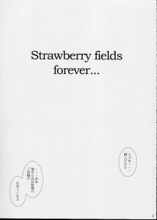 [Abura katabura (Papipurin] Strawberry fields forever… (Ichigo 100%) - page 4