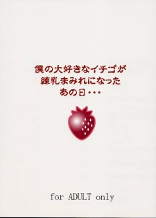 [Abura katabura (Papipurin] Strawberry fields forever… (Ichigo 100%) - page 50