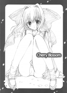 [Himegami (Nanase Aoi)] Cherry Blossom (D.C.II ～ Da Capo II ～) - page 2