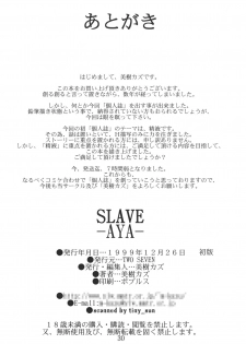 (C57) [TWO SEVEN (Mikikazu] SLAVE - page 29